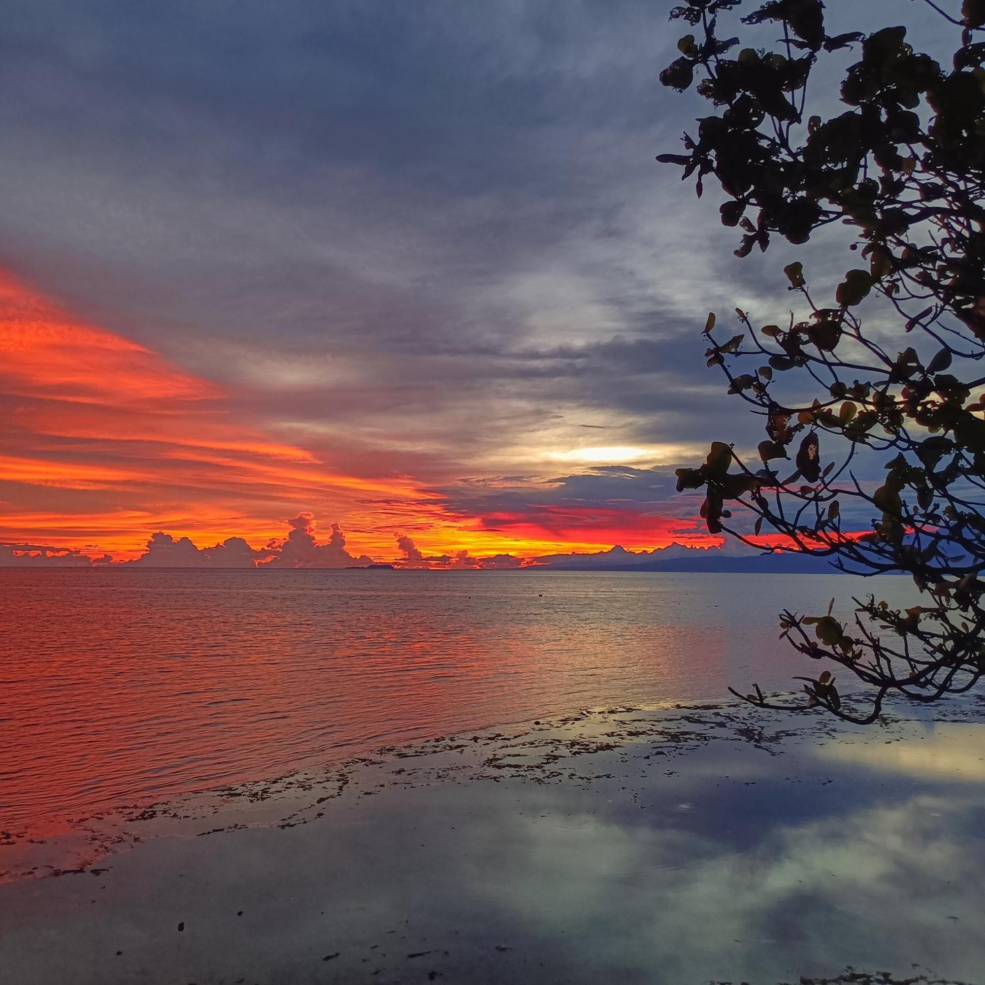 Zara'S Casa Rental Siquijor Exteriér fotografie